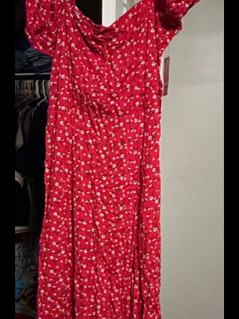 Francesca's Collections Red Floral Maxi Dress
